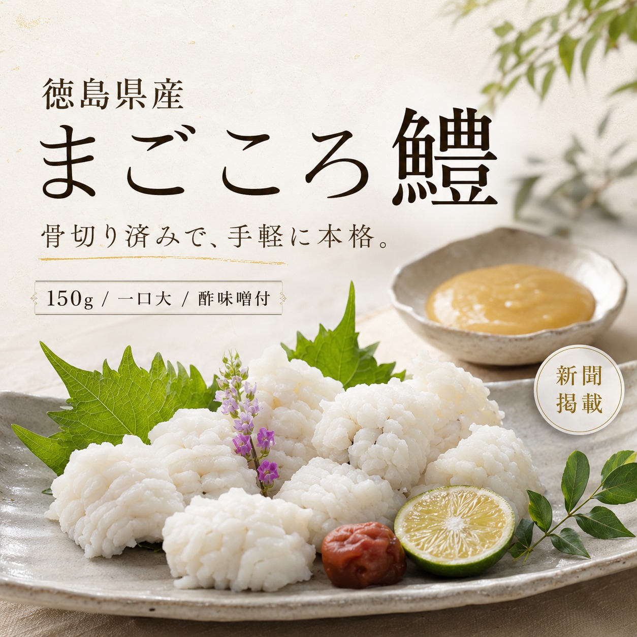 【新入荷】徳島県産「まごころハモ」が入荷しました｜骨切り済みで手軽に楽しめます