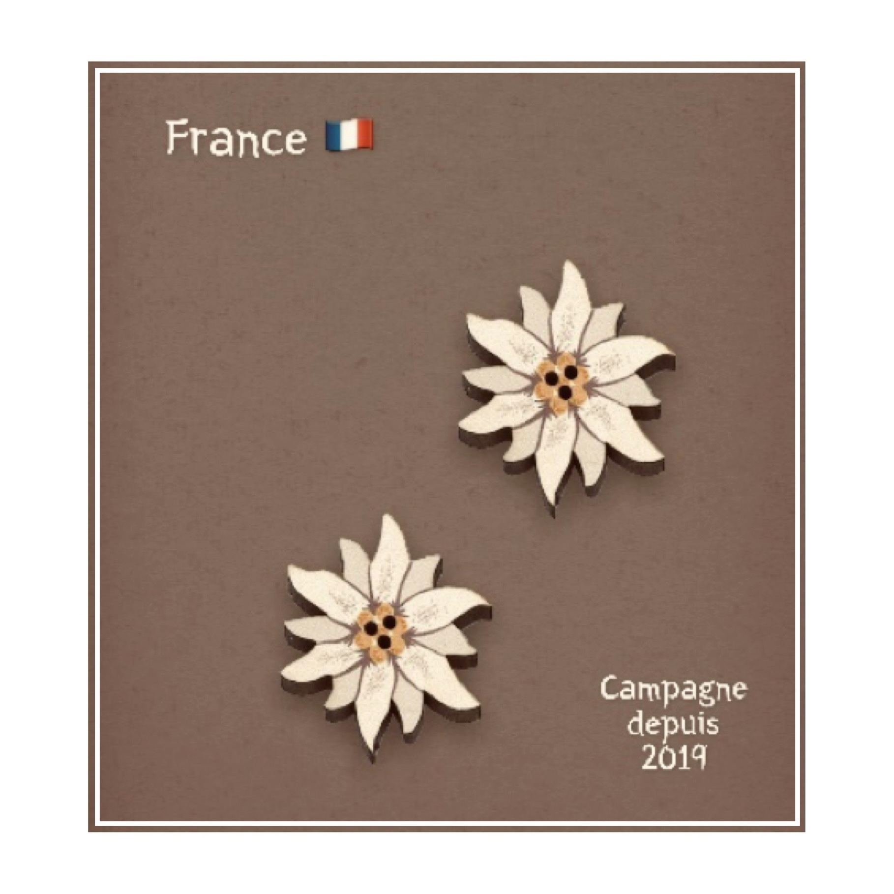 フランス製 エーデルワイスのボタン