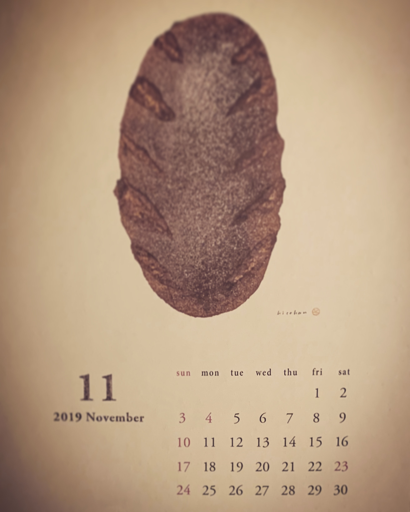 11月1日
