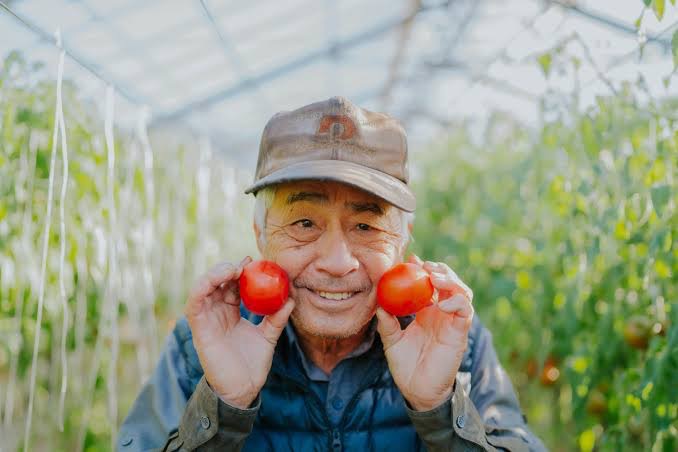 【TikTokで話題沸騰中】まいひめおじさんの商品を作らせてもらいました🍅