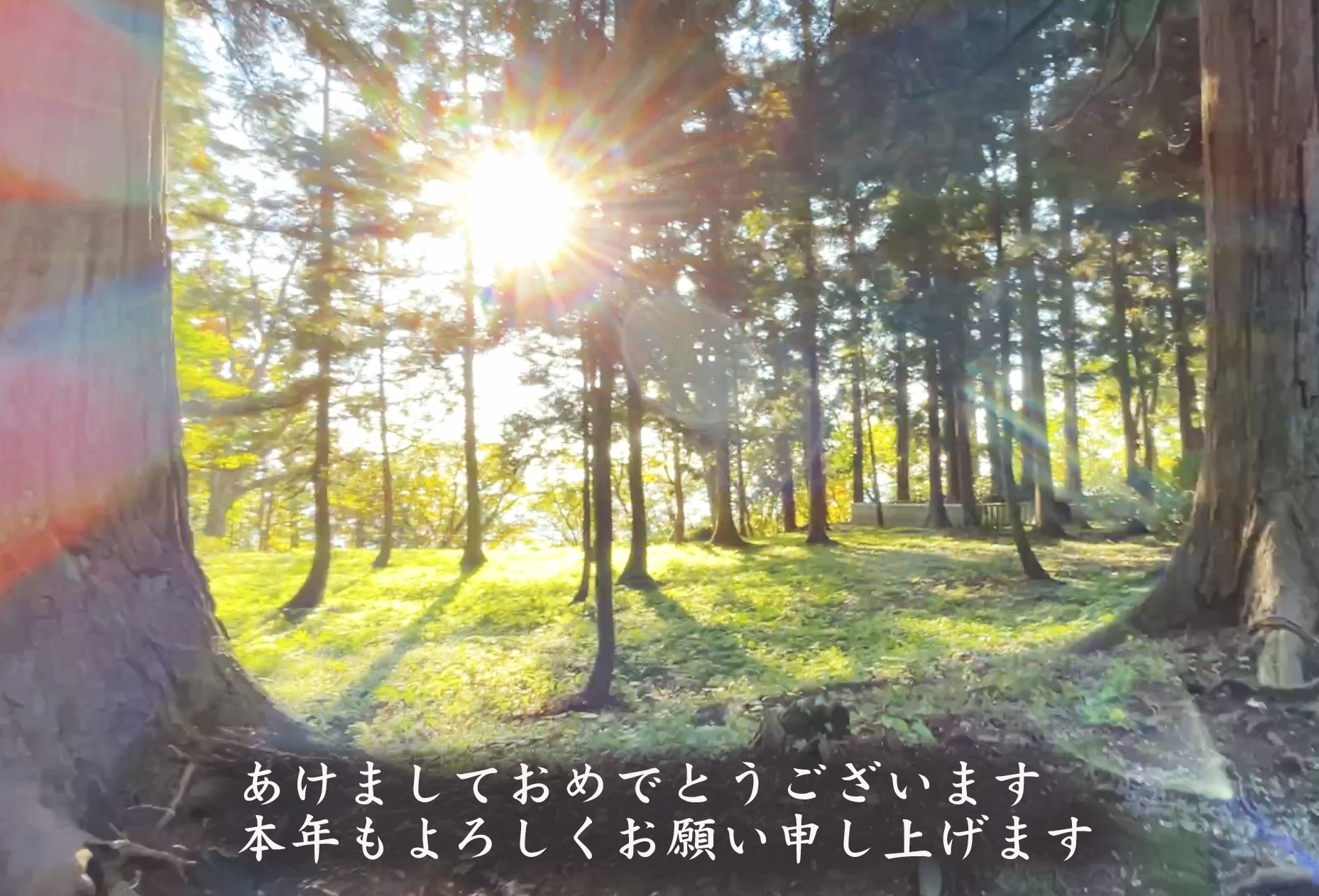 あけましておめでとうございます