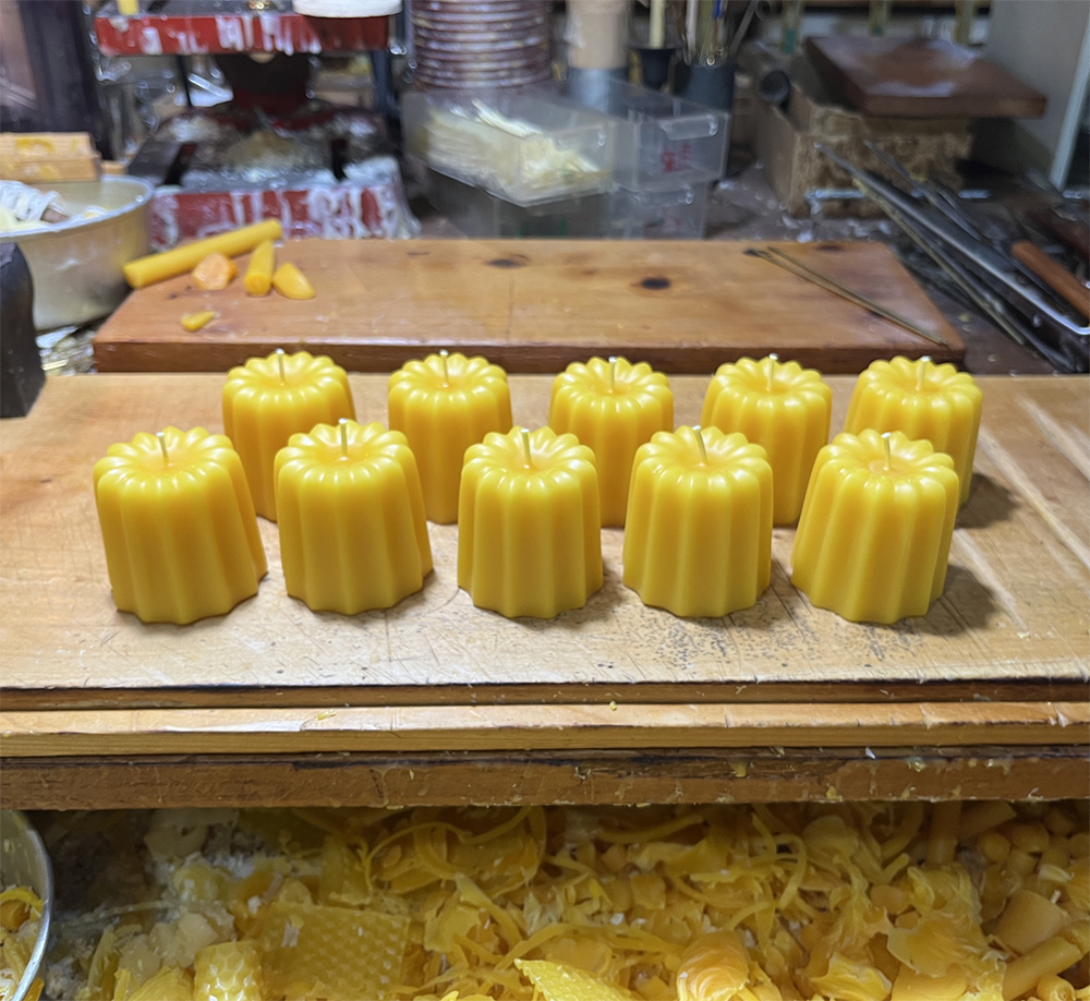 めずらしいケンポナシの蜜蝋