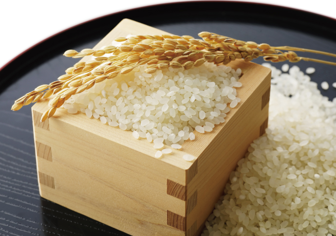 米師直伝！お米の保存方法