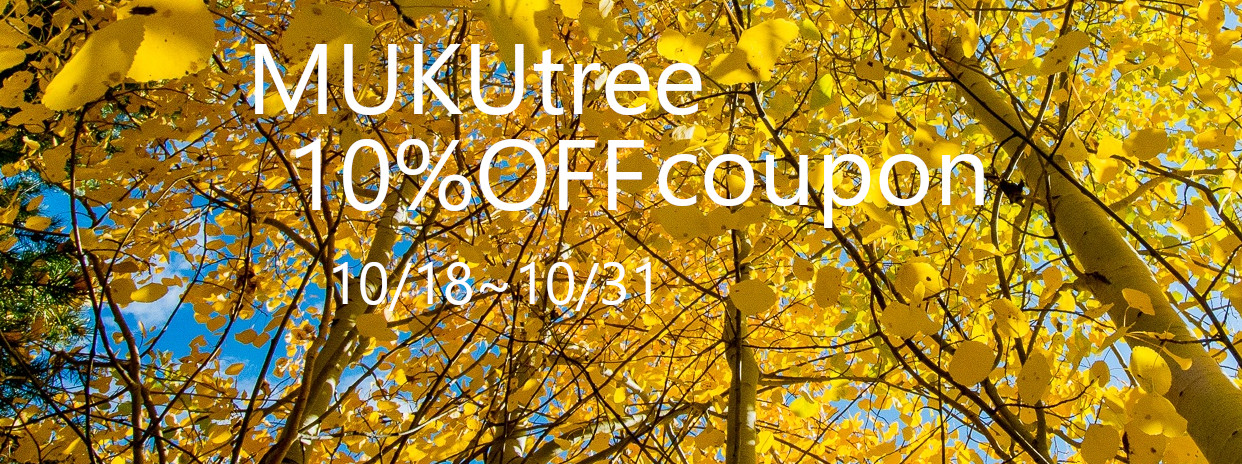 本日は海外旅行の日✈