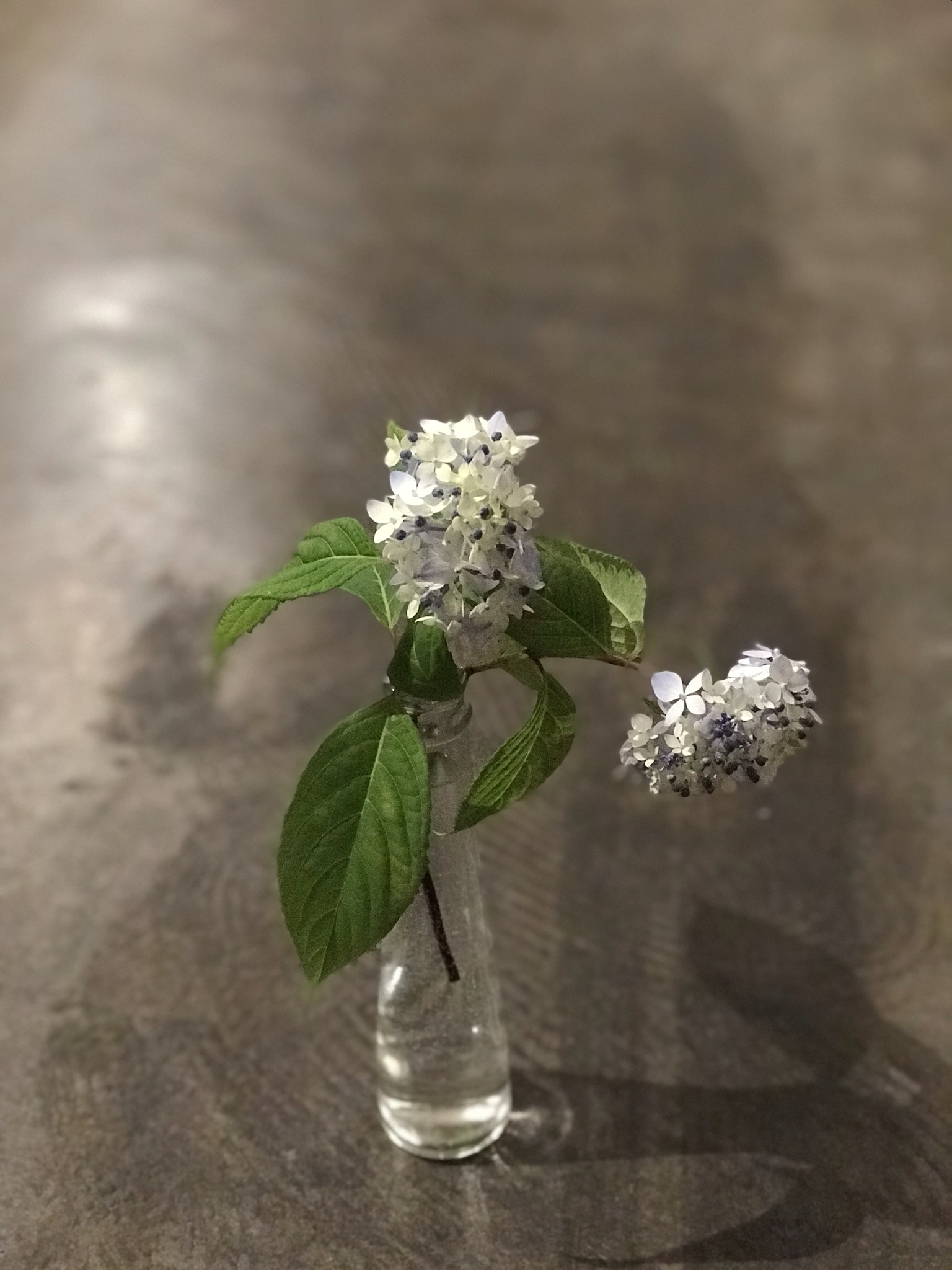 5月17日のブログ