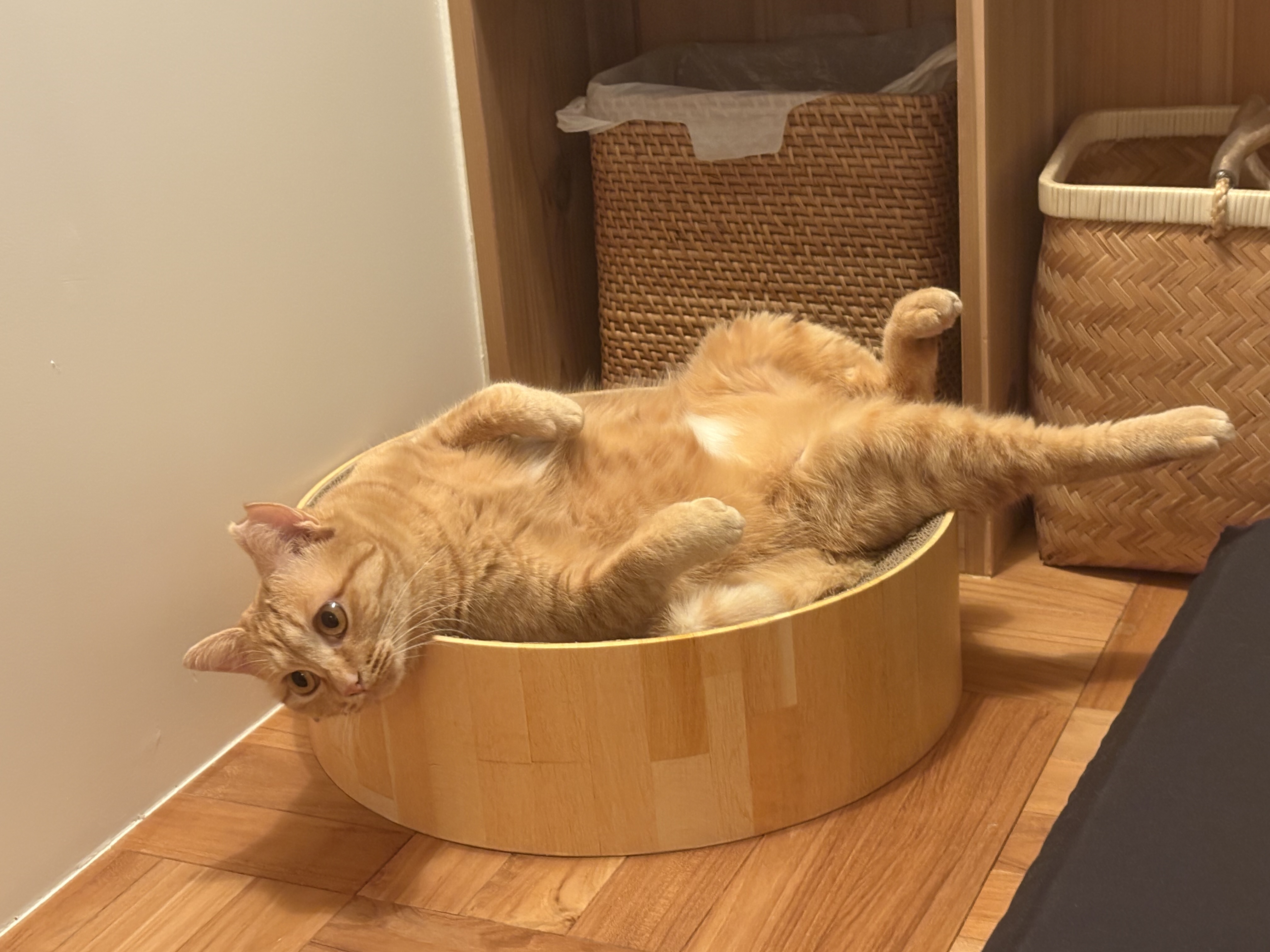 2月8日のブログ