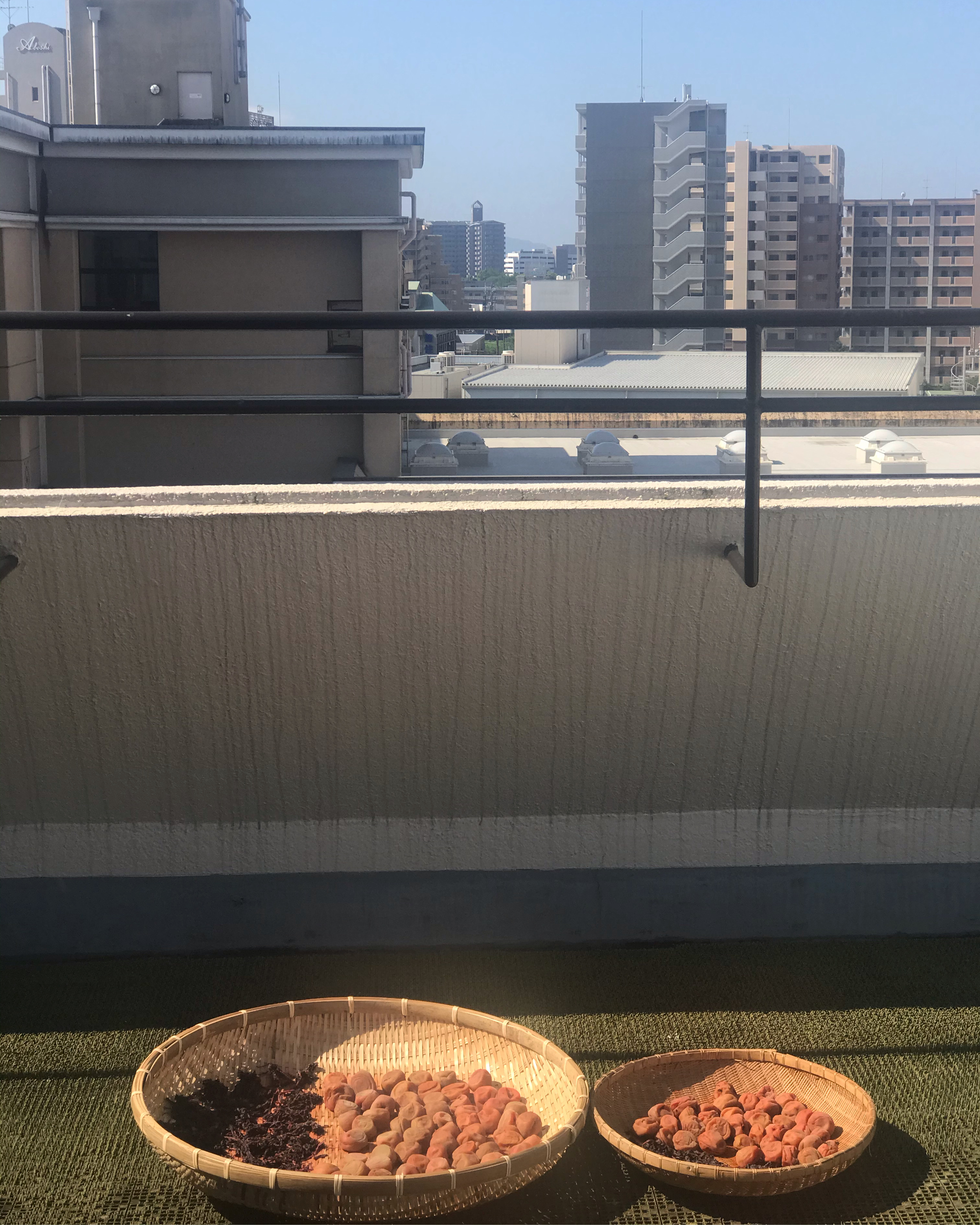 7月30日のブログ