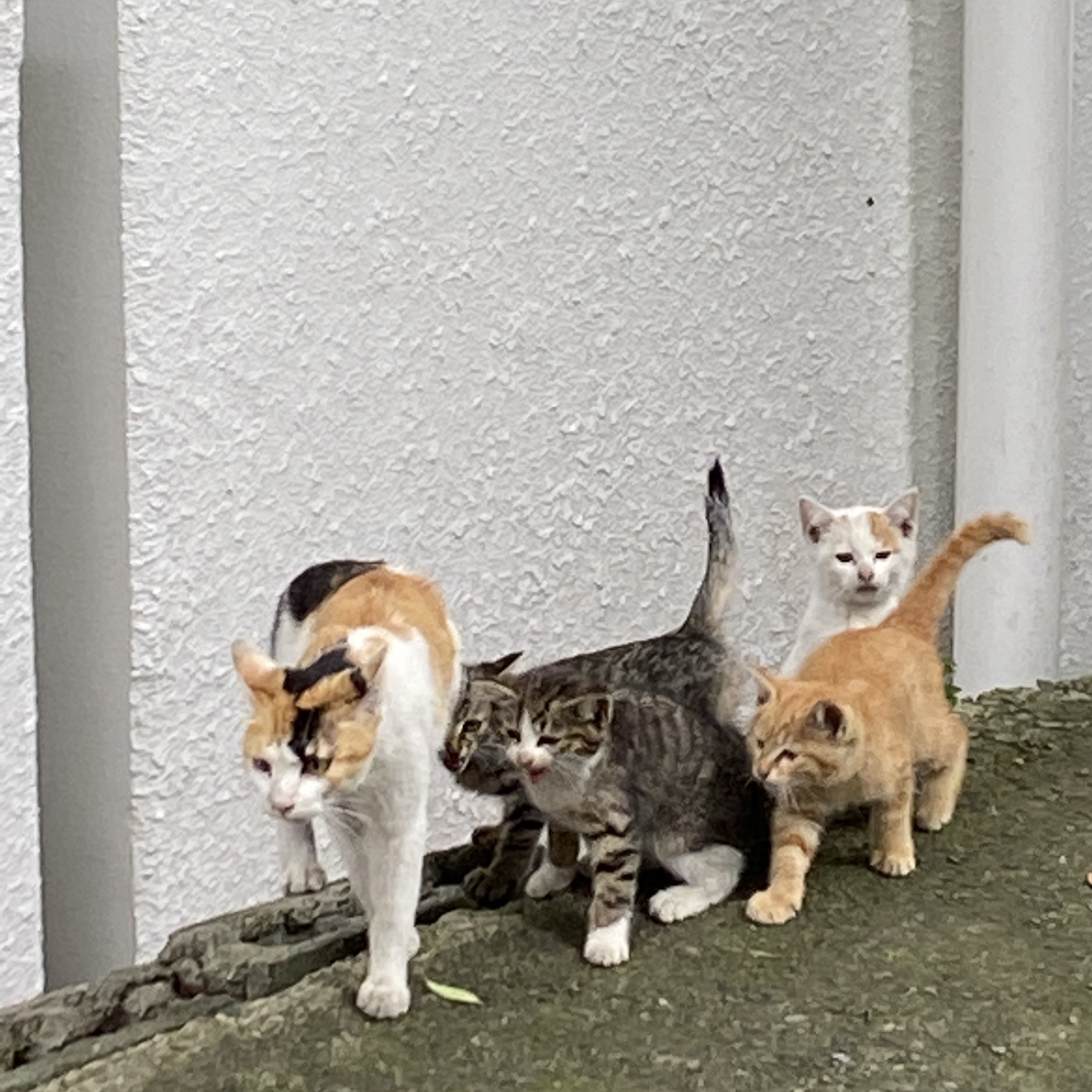 6月20日のブログ
