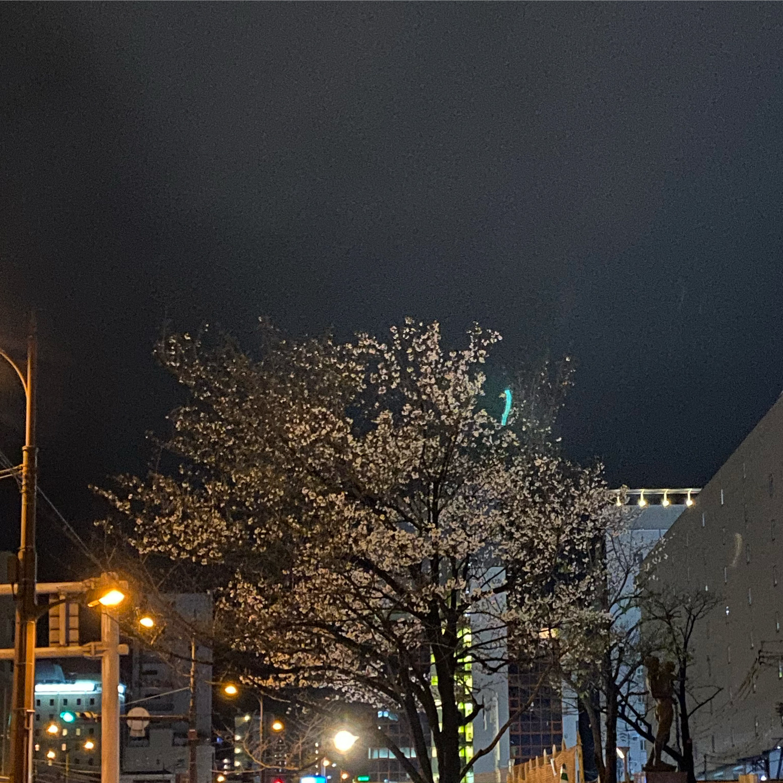 3月13日のブログ
