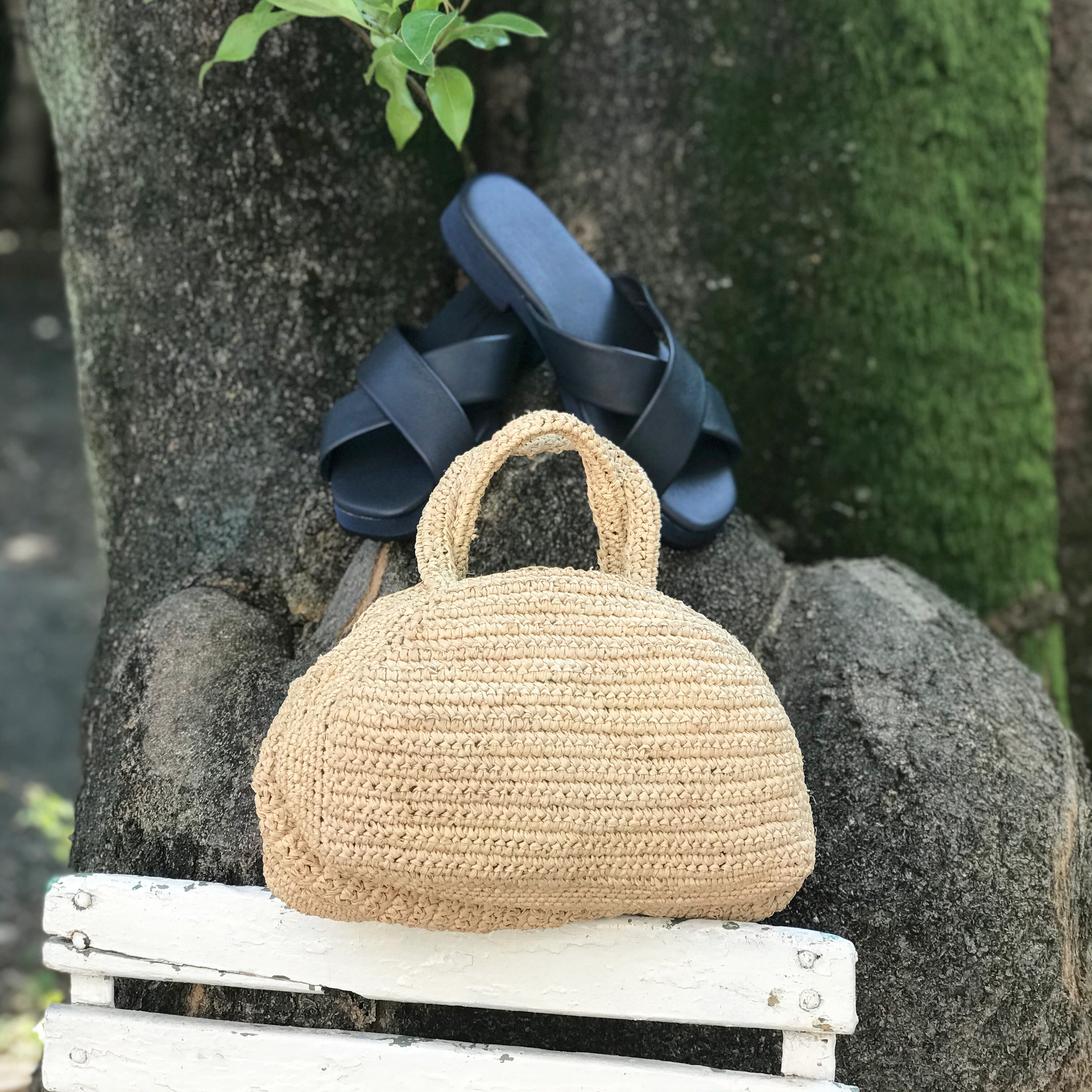 6月22日のブログ