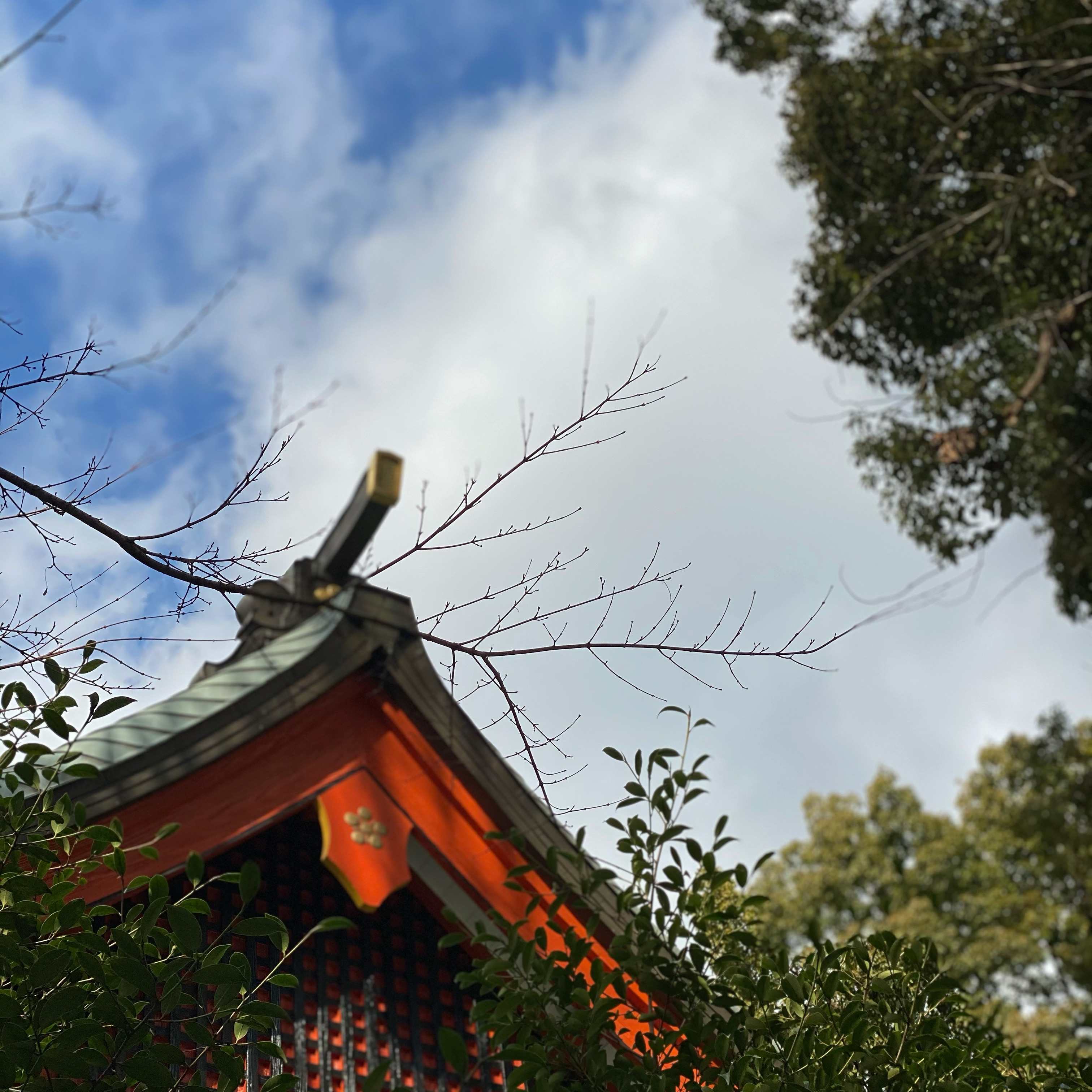 1月14日のブログ