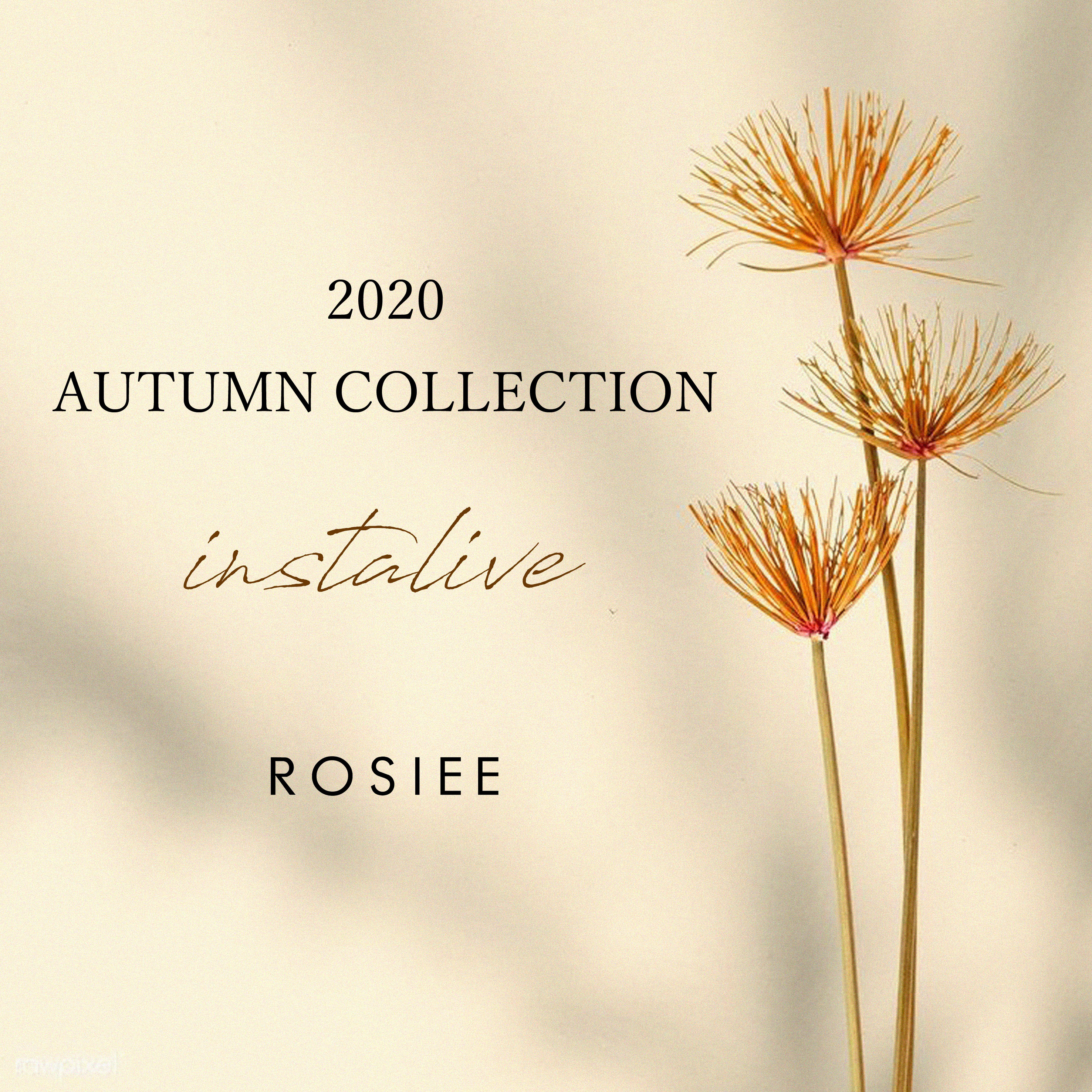 2020 AUTUMN COLLECTION☆instalive