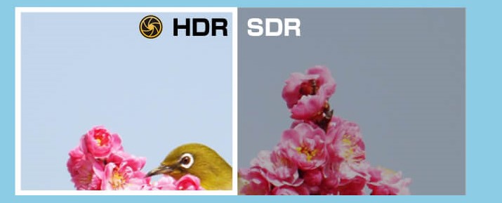HDRとは？モニターのHDRについて簡単に解説