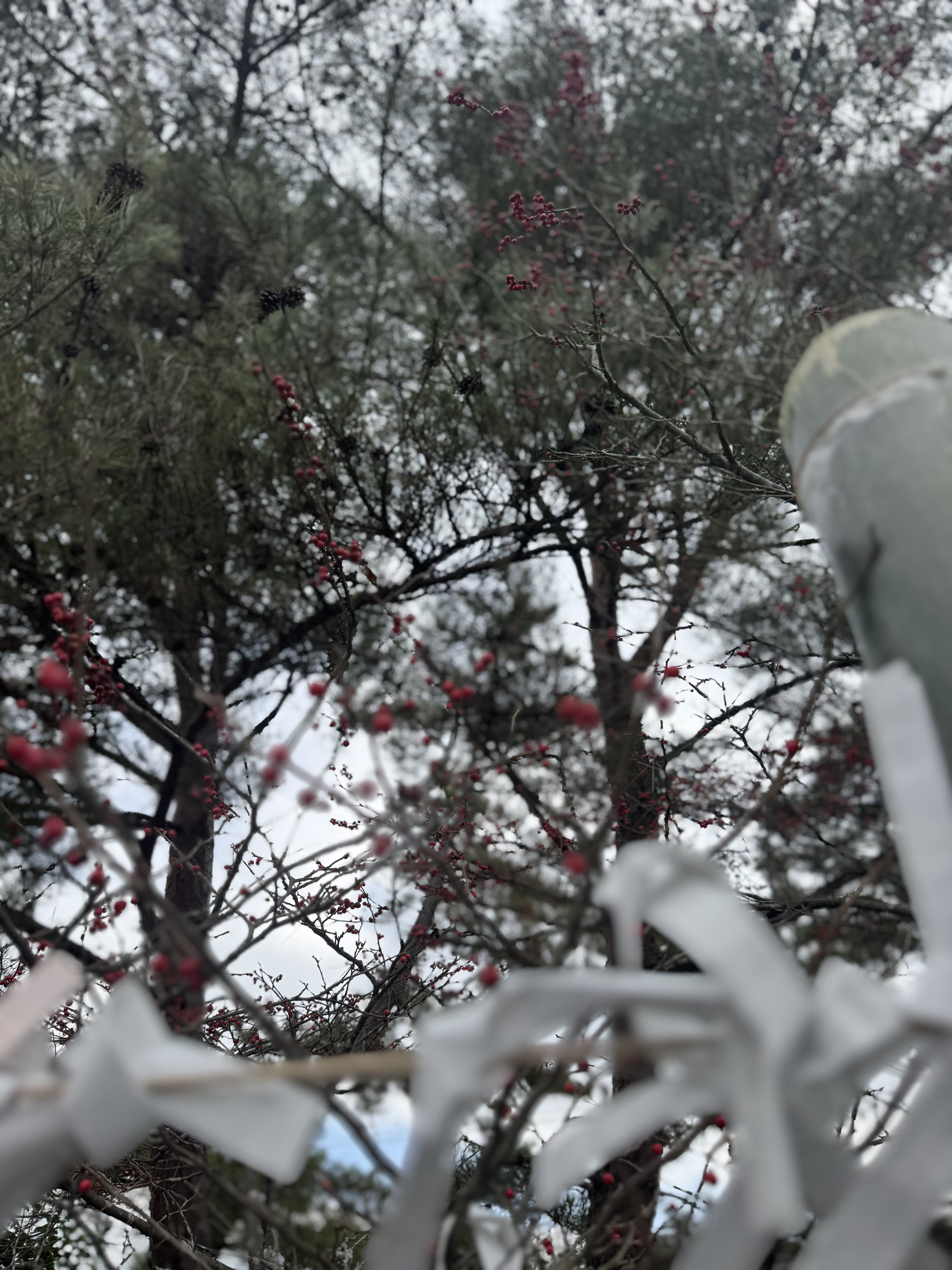 本年もよろしくお願いいたします★