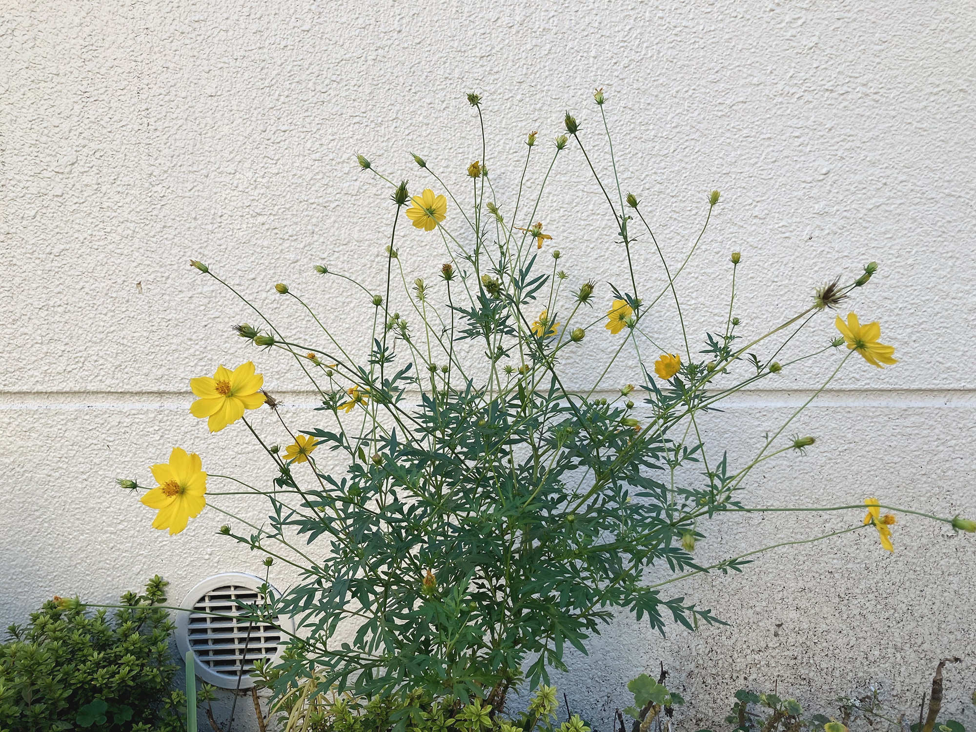 一呼吸