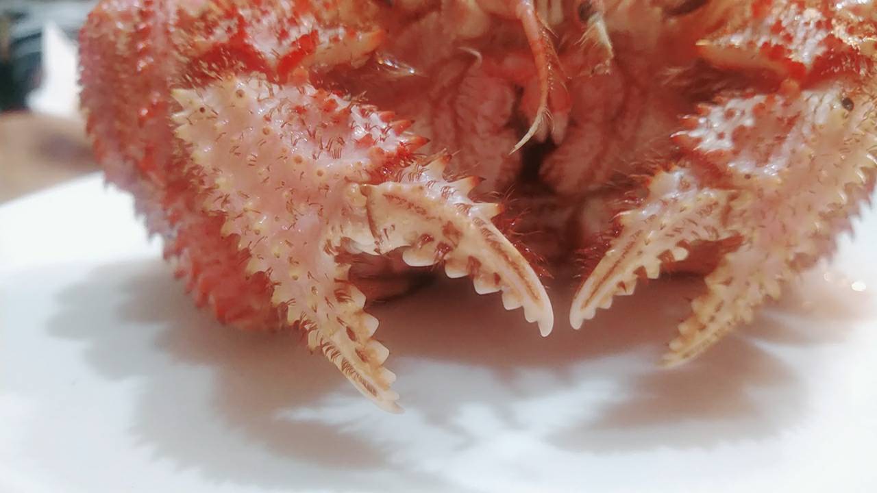 人生相談