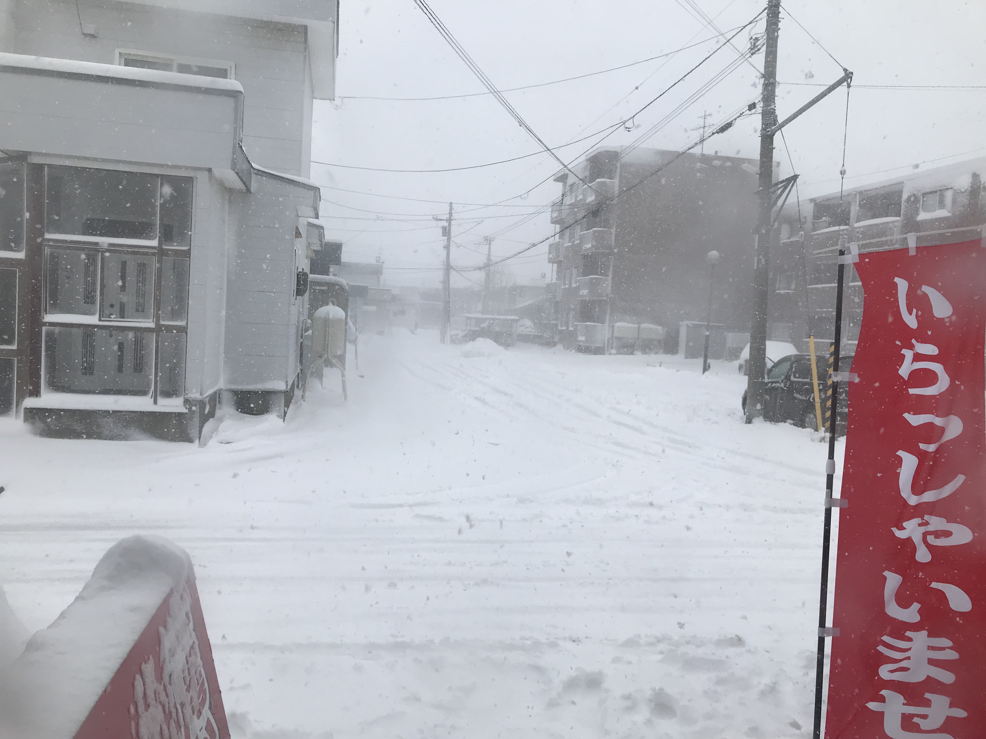 雪がどっさり(>_<)