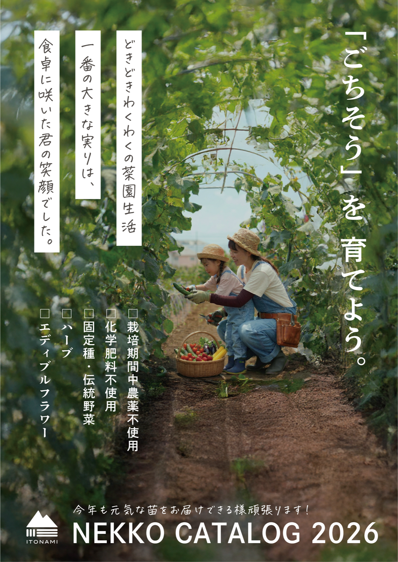 2026年の苗カタログはこちら！