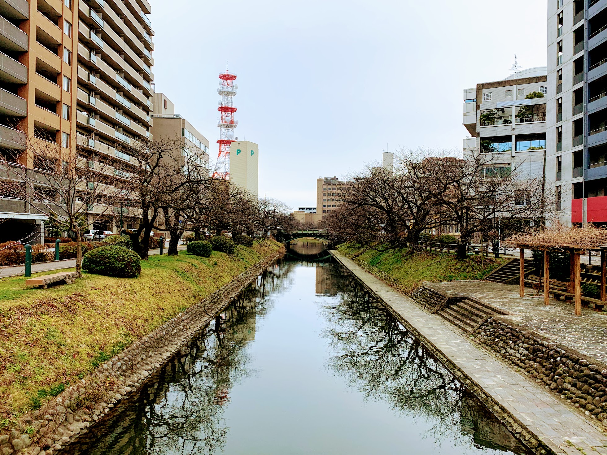 2019/02/08 定例の富山出張レポート