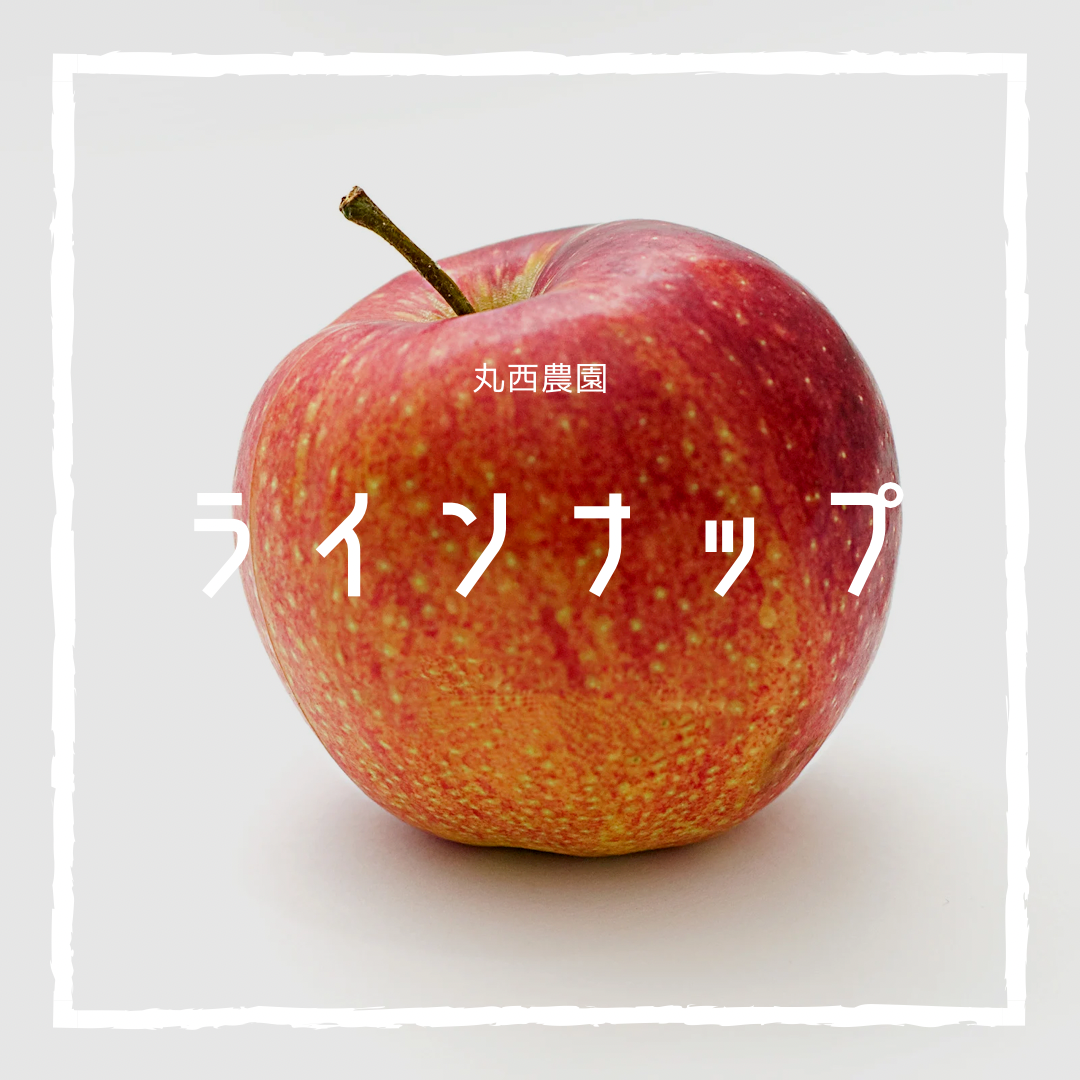 株式会社 六本木商店/山林調査用具/帆布製収納袋/標識類/事務