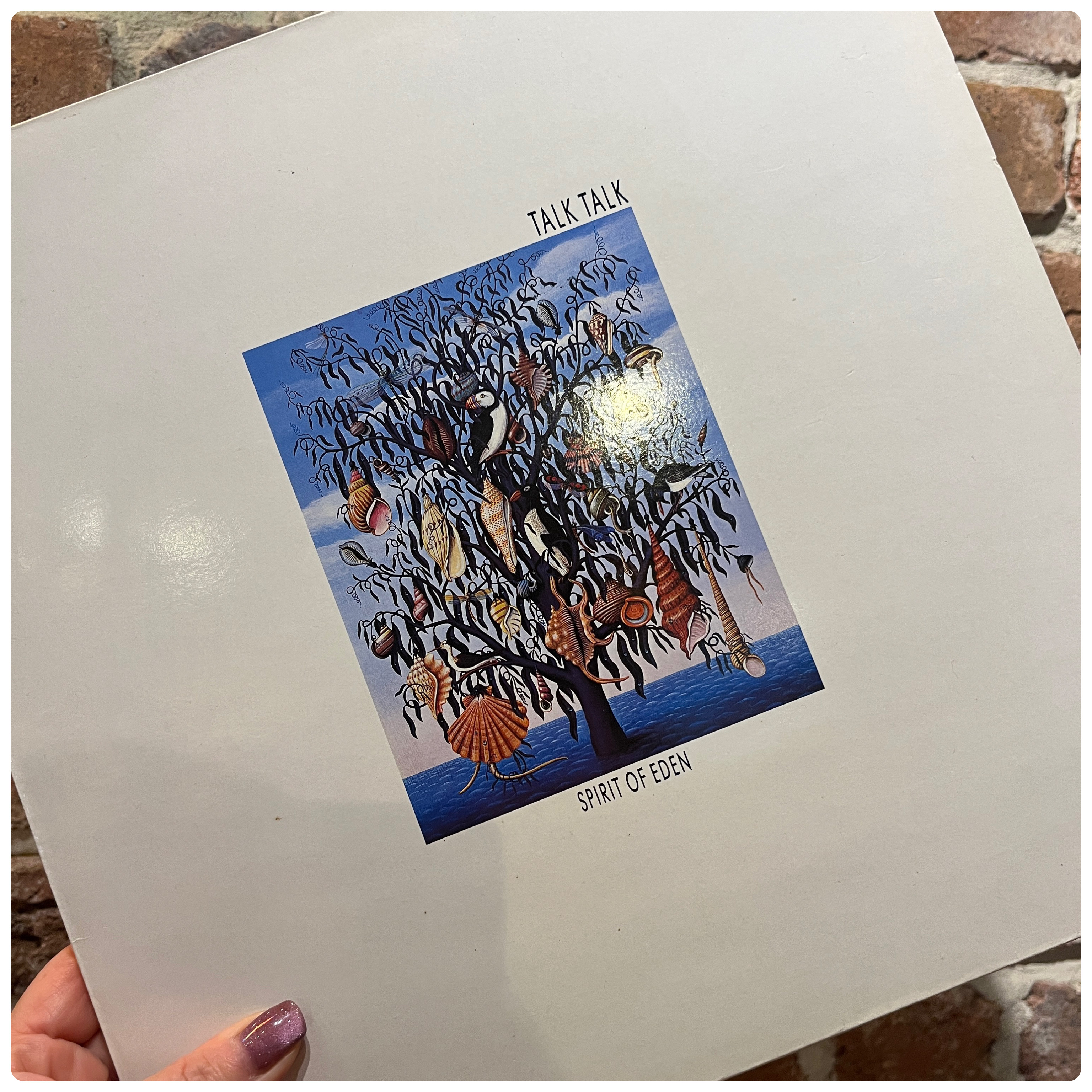 【今日のレコード】TALK TALK/Spirit Of Eden