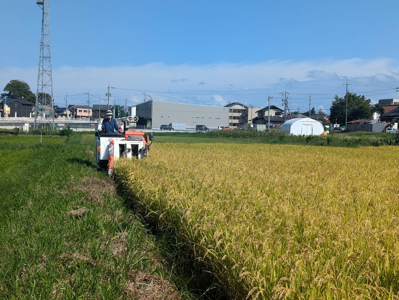 須山農園でやろうとしていたことが、エフェクチュエーションという理論でまとめられていたという話