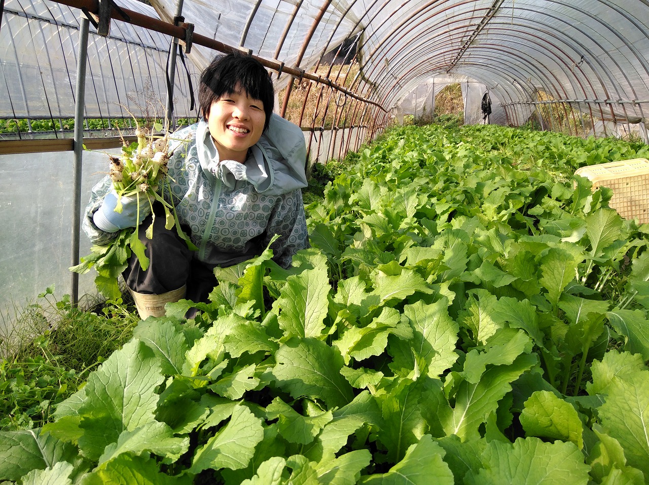 経営の舞台裏：須山農園1年目（1/2）