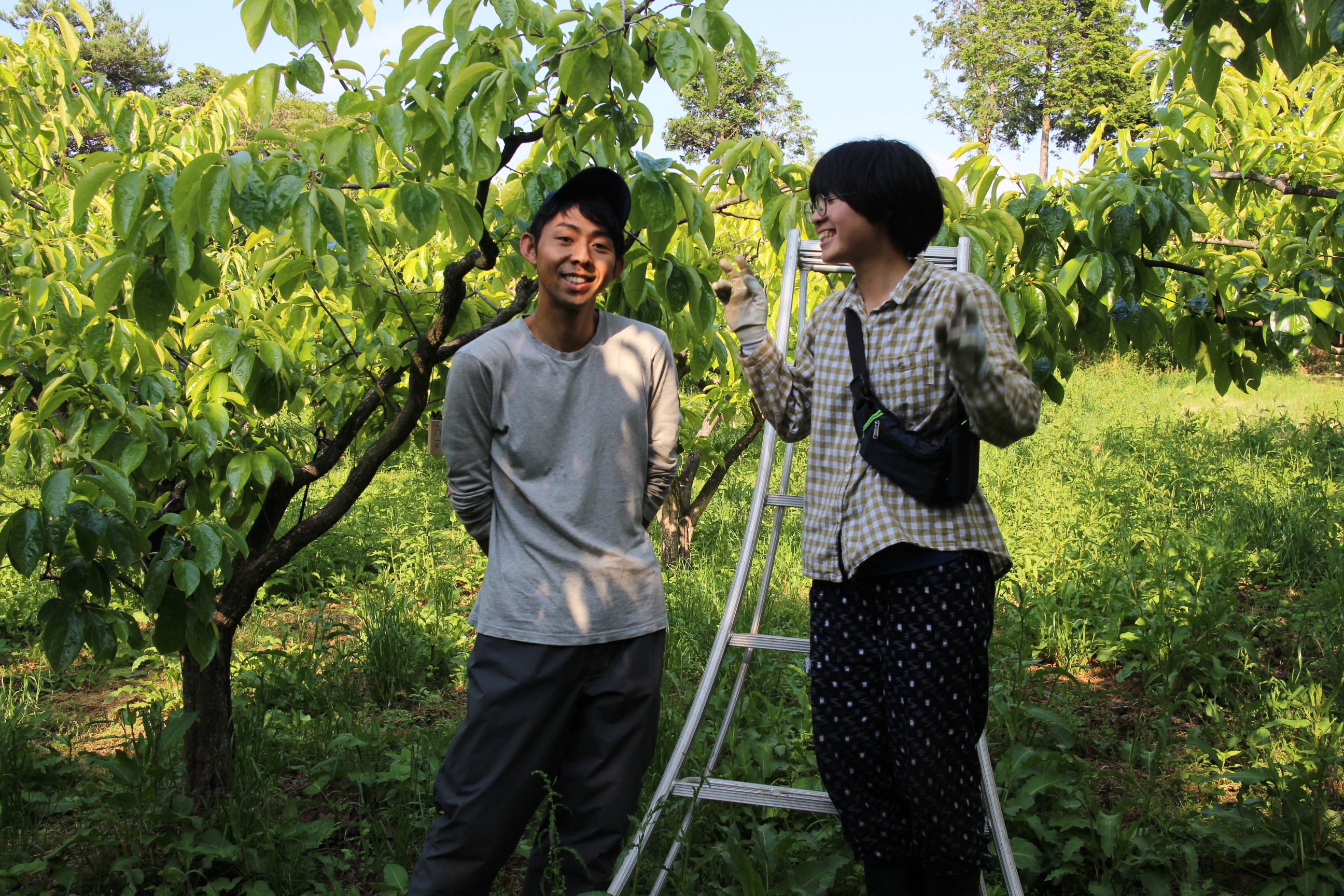 苦悩と喜び：須山農園1年目（2/2）