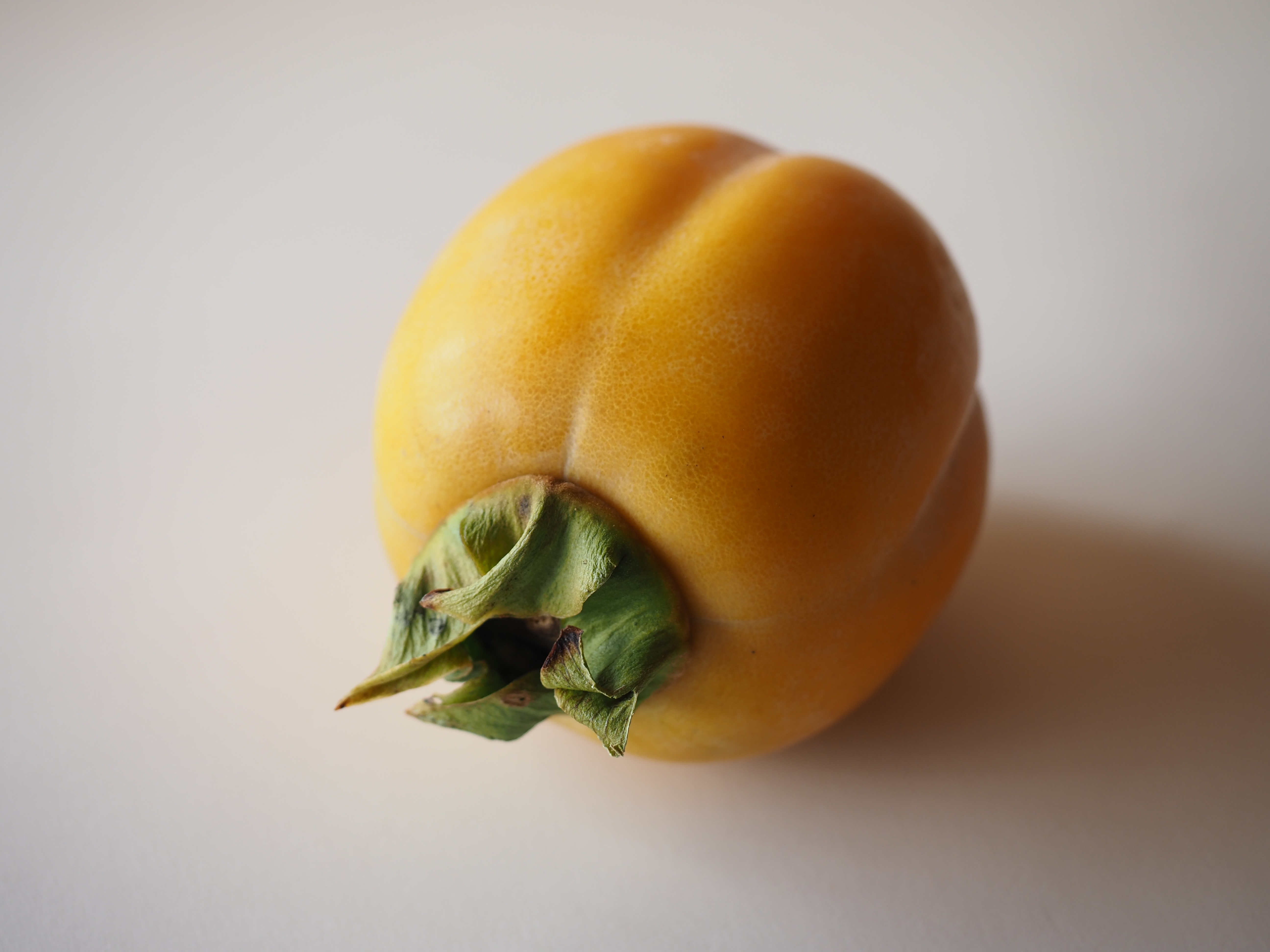 西条柿が“美味しい”と言われる理由