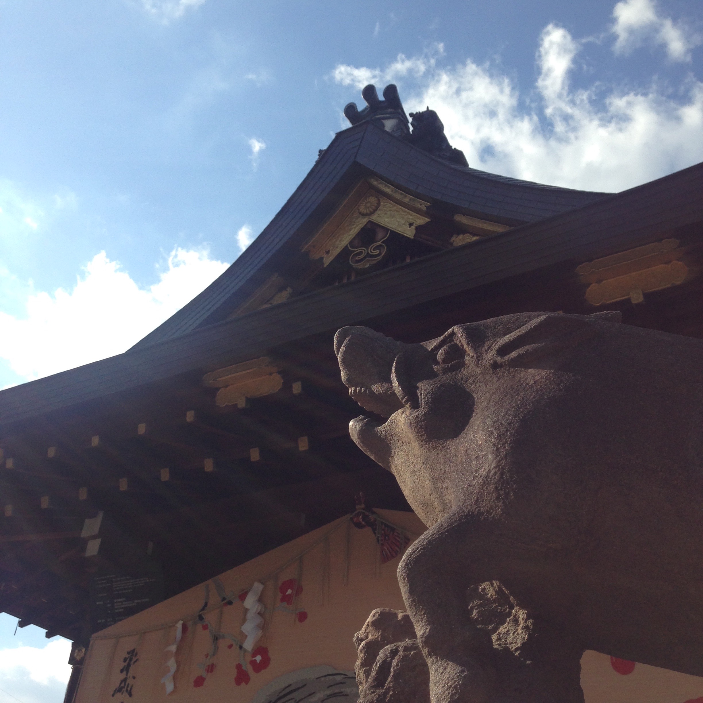 いつも気になるお天気情報