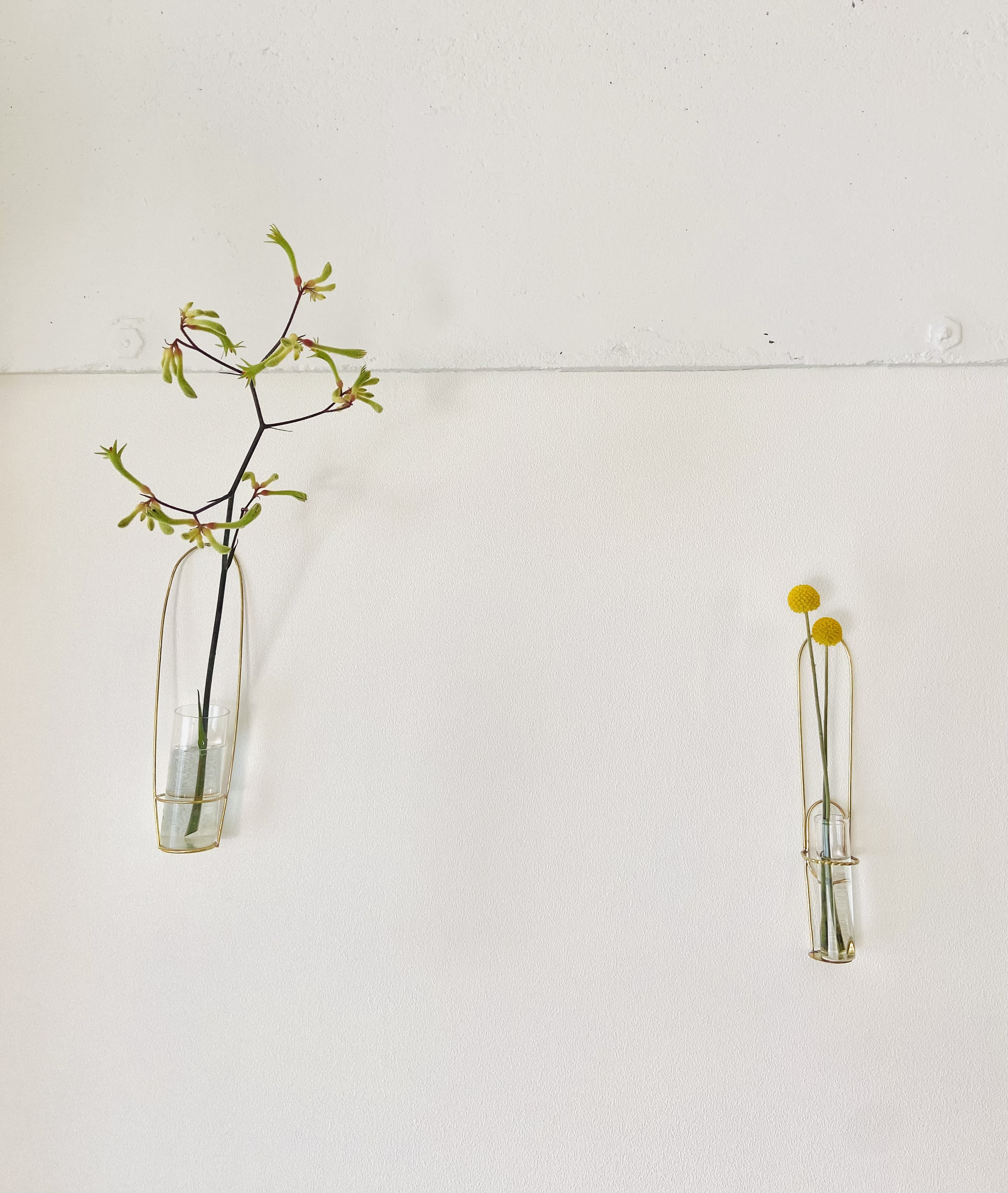 カンガルーの手が可愛い 植物を長く楽しめる 壁掛花器