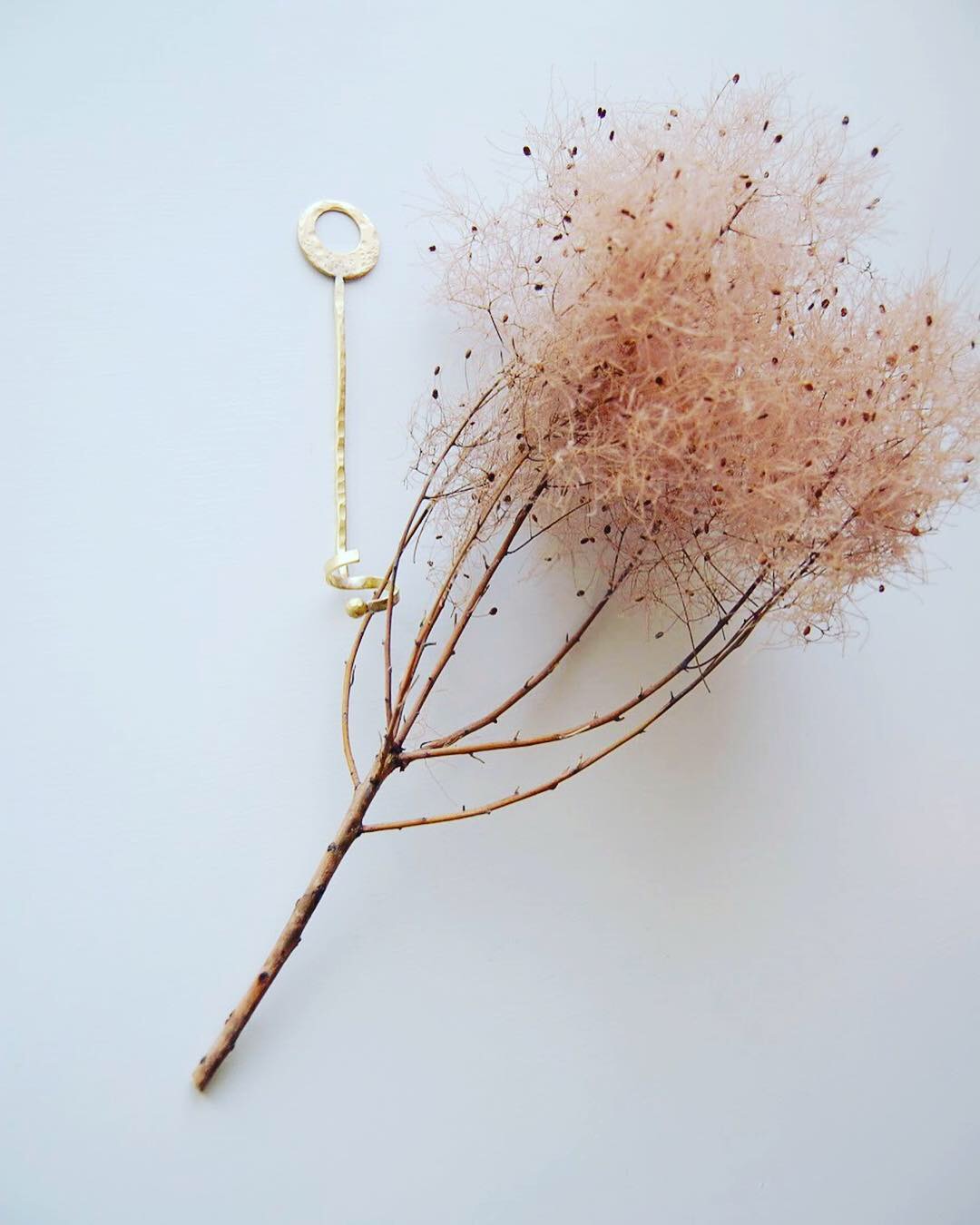 ドライにぴったり スモークツリー