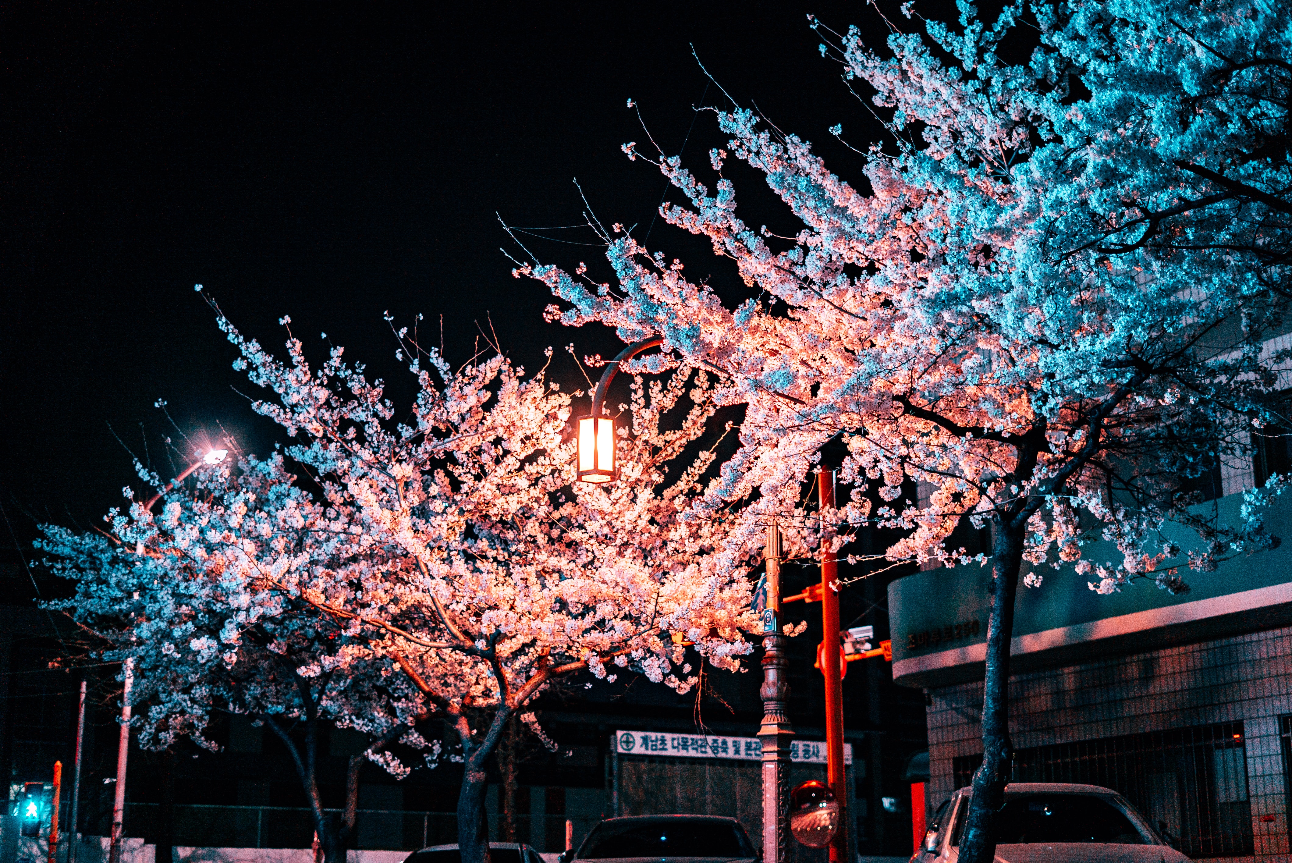 寒い時期