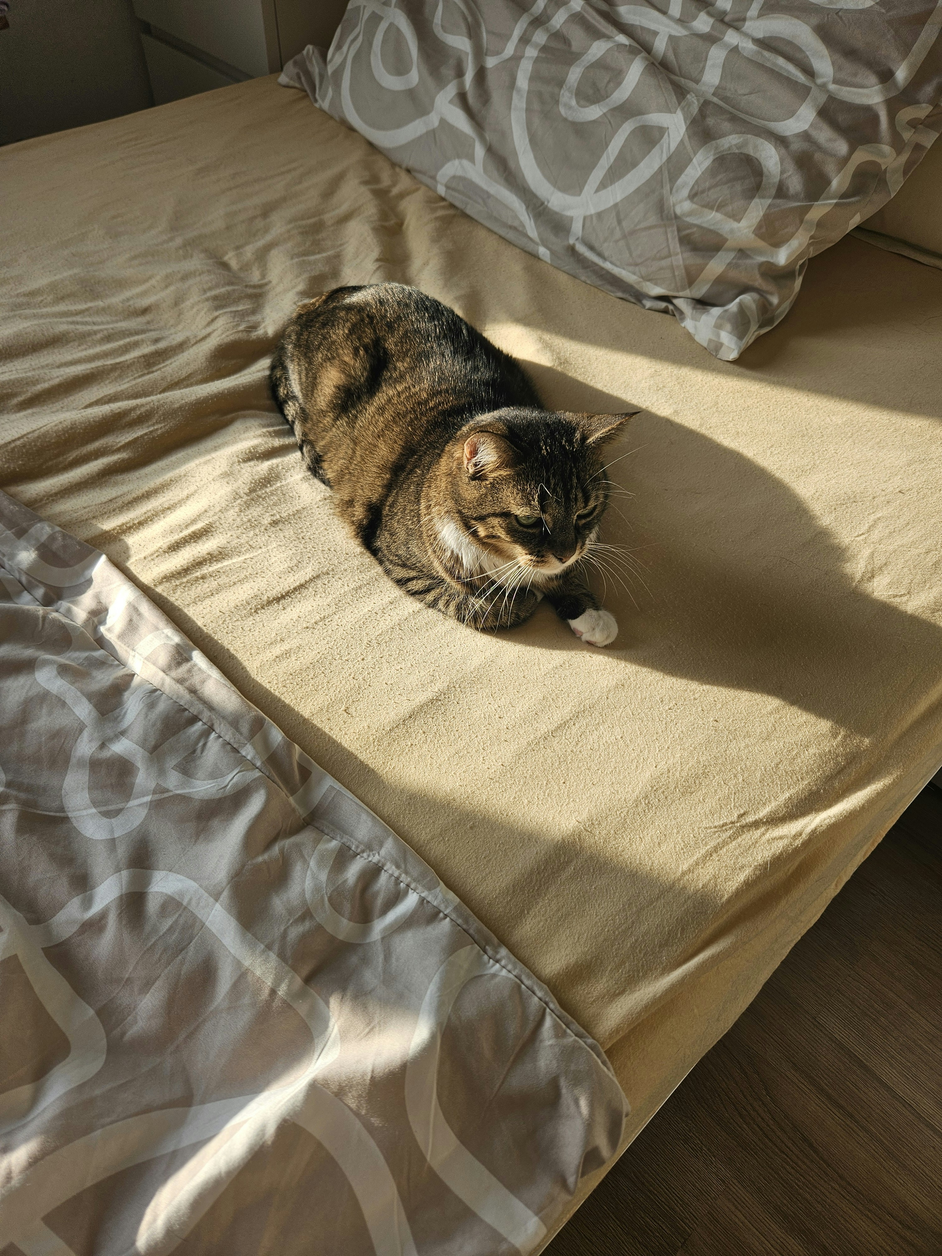 起きて半畳 寝て一畳 天下をとっても 二合半
