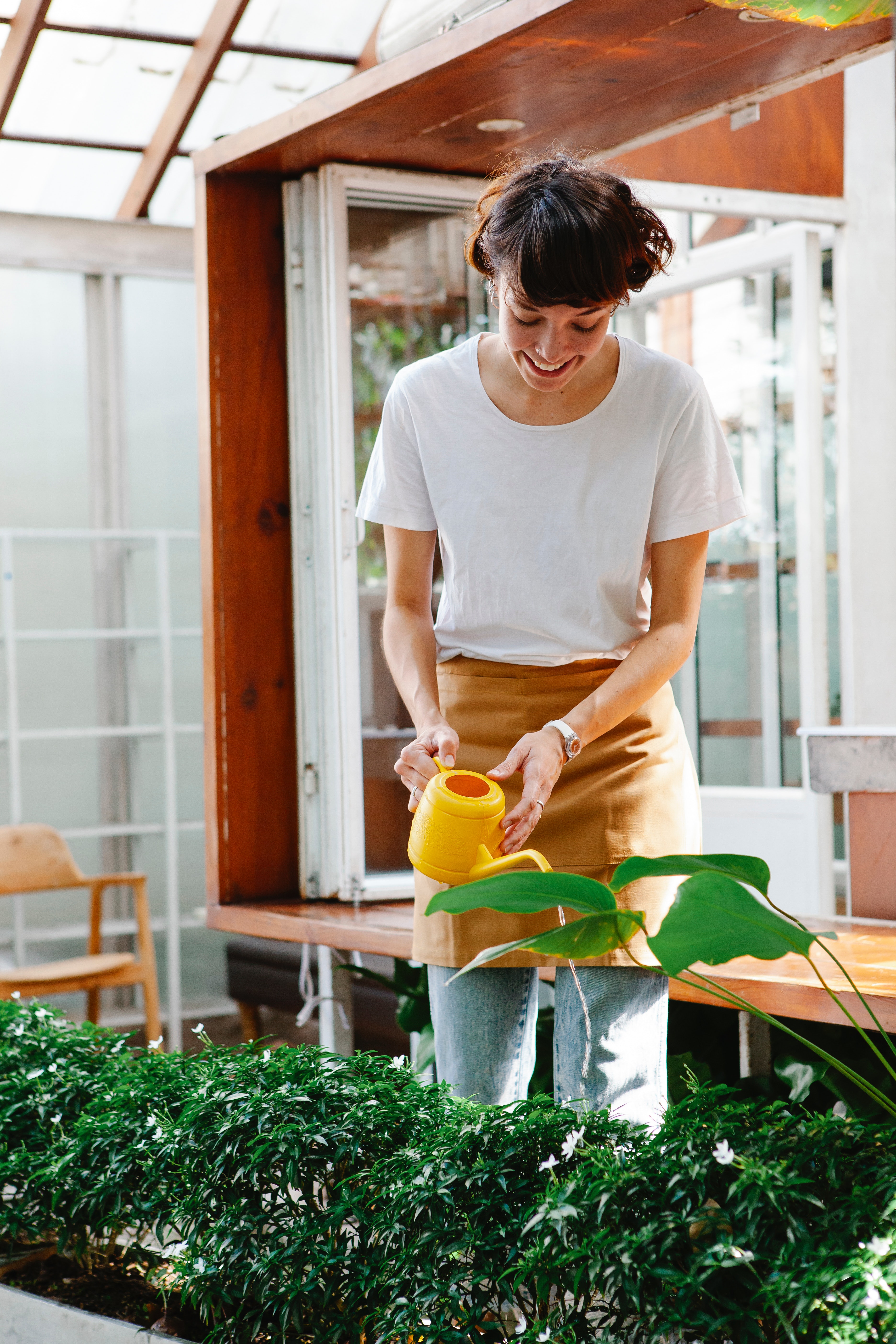 植物は正直