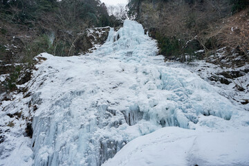 とっても寒いと