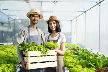 野菜をとる
