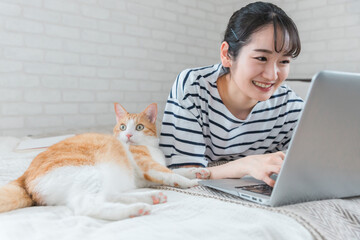 動画と猫
