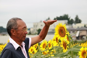 比べる