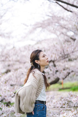 何をどうしても