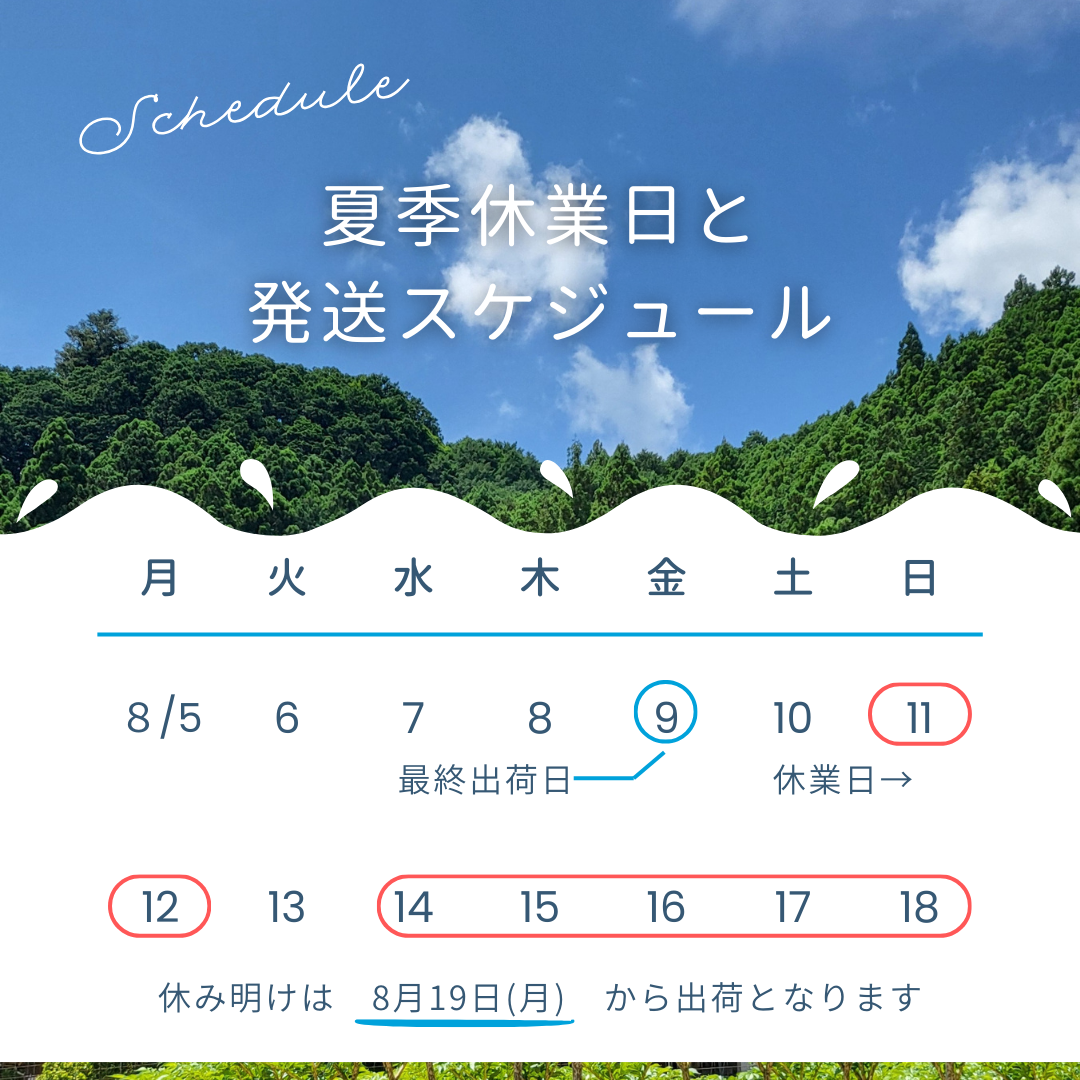 夏季休業のお知らせ