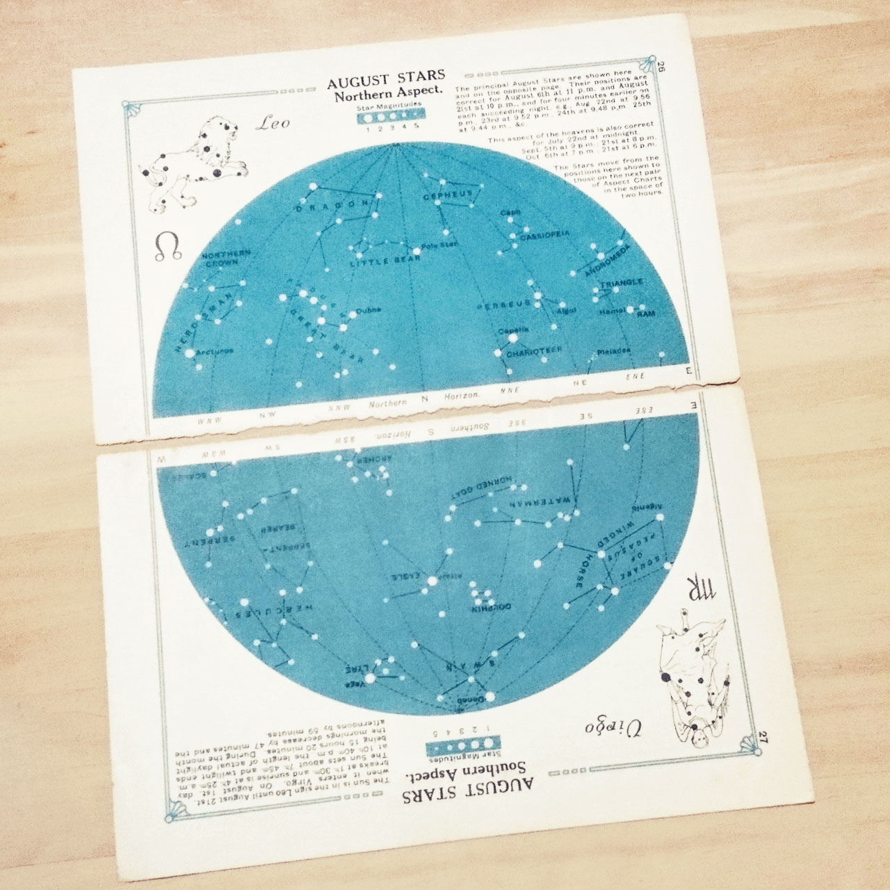 イギリスのアンティーク 十二支星座の天文図版 8月 北半球しし座と南半球おとめ座の星座図