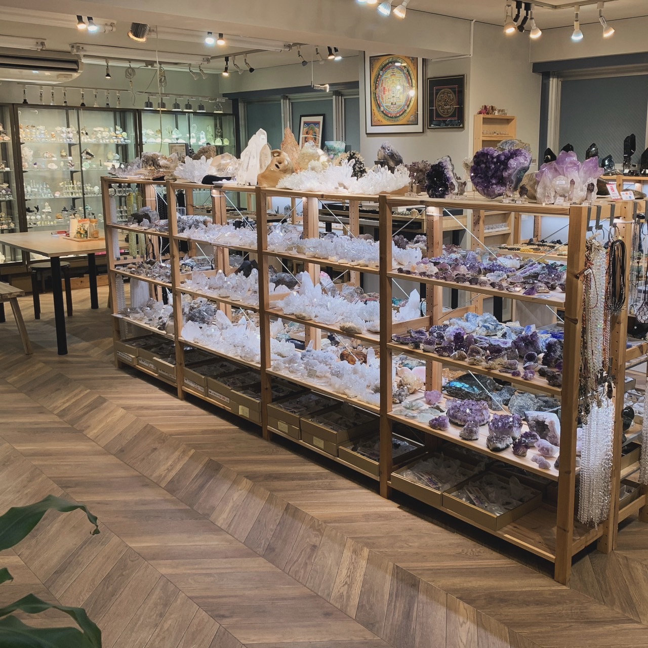 SHOWROOMのご案内