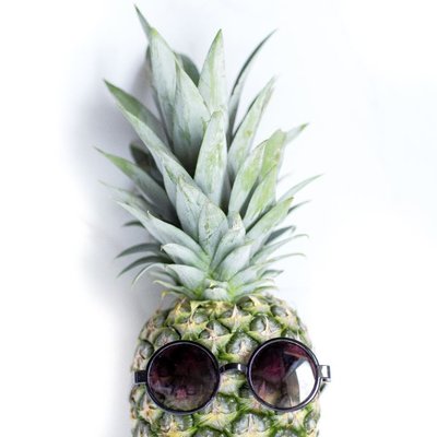 ◆リニューアルして見やすくなりました！