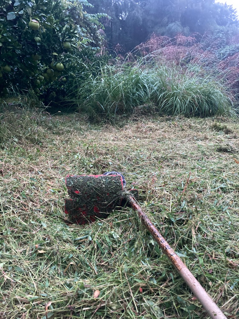 雨ニモマケズ