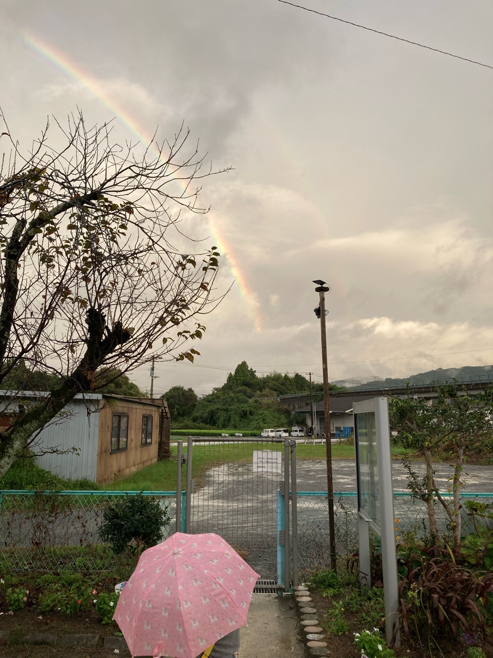 「昨日の最低気温が今日の最高気温くらい、そんな寒々とした雨の日」