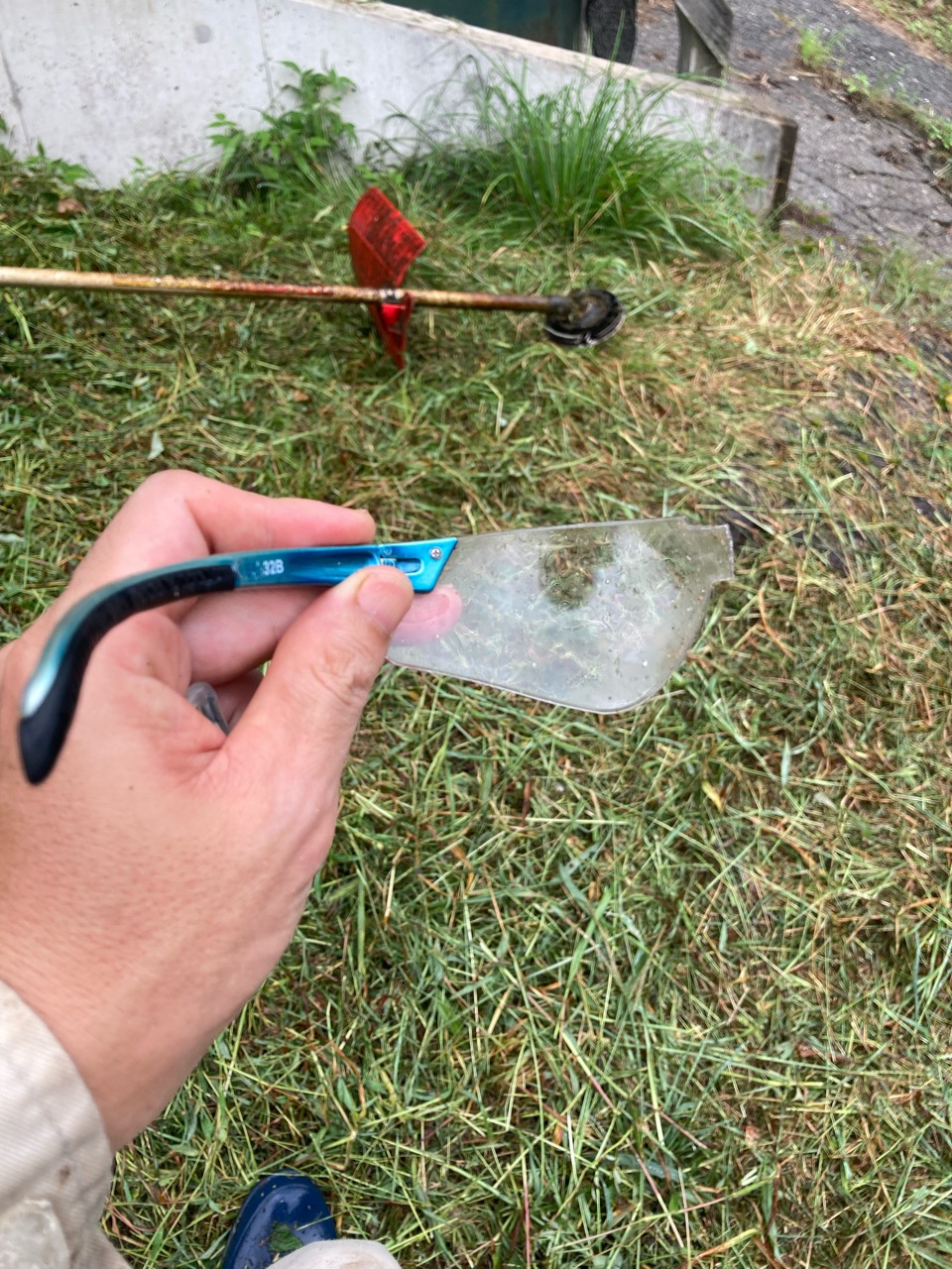 やっときたーー！恵みの雨
