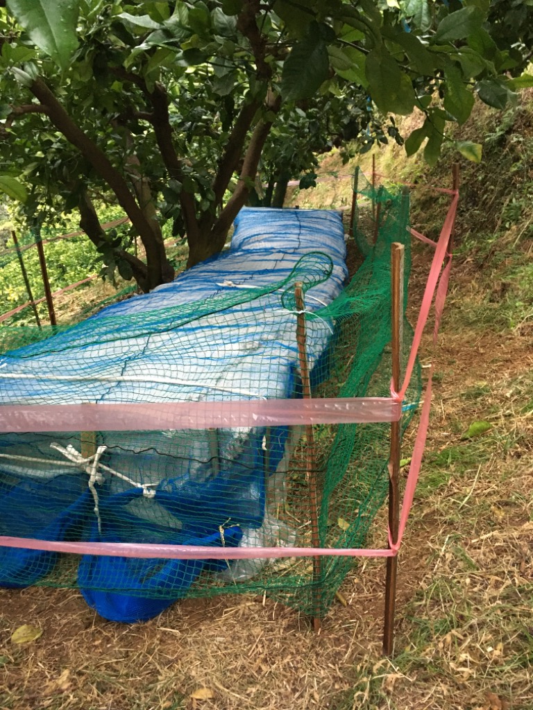 イノシシ除け対策
