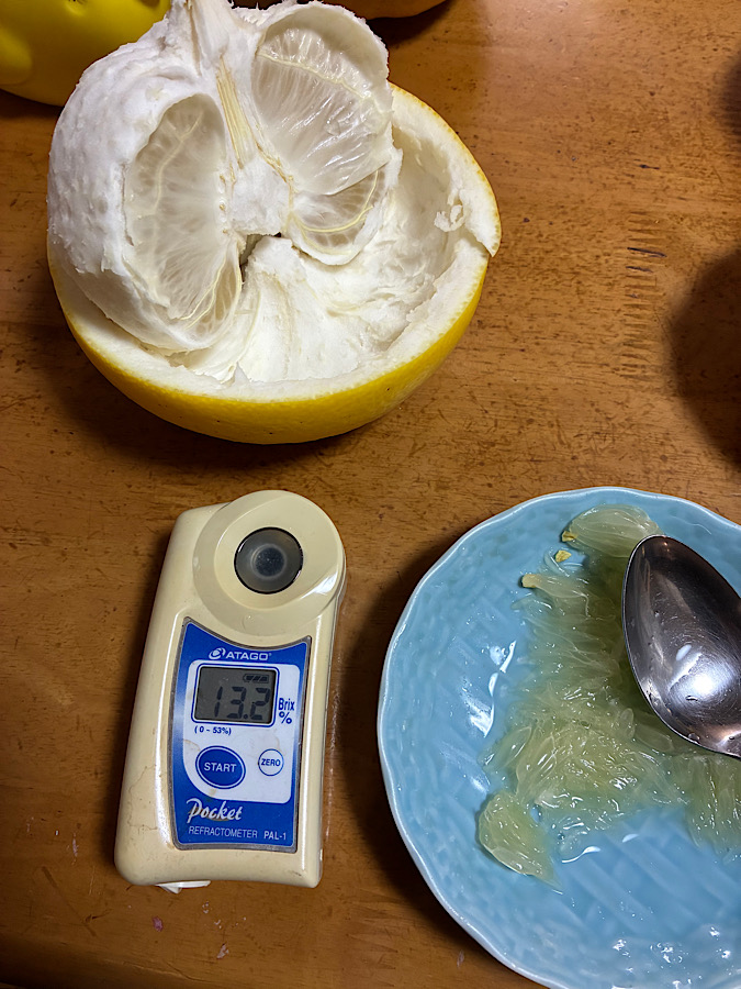 めっちゃおいしい文旦の味とは？