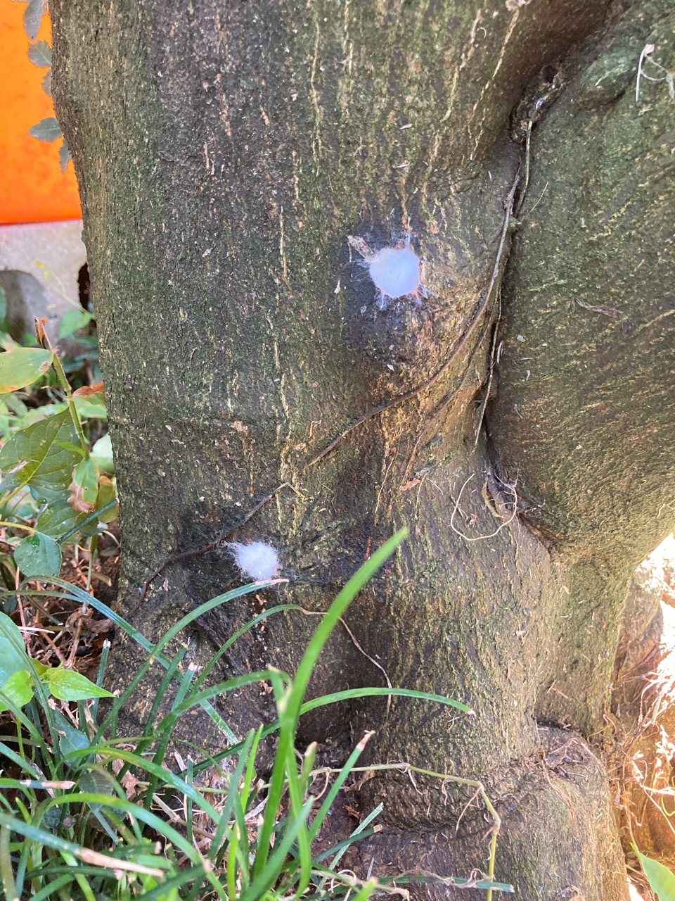 穴を補修する